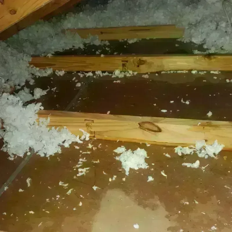 Attic Water Damage in West Homestead, PA